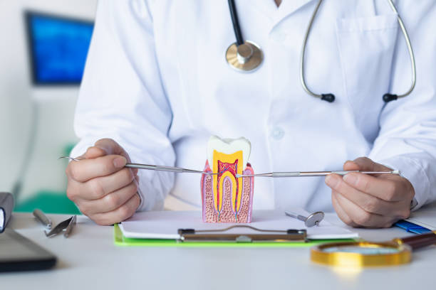 Best 24-Hour Emergency Dentist in New Chicago, IN